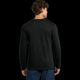 Back (Model)