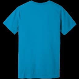 Back (Flat)