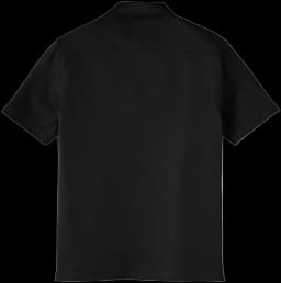 Back (Flat)