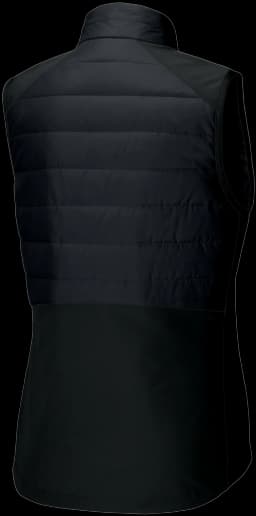 Back (Flat)