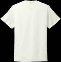 Back (Flat)