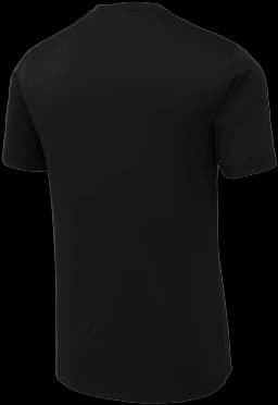 Back (Flat)