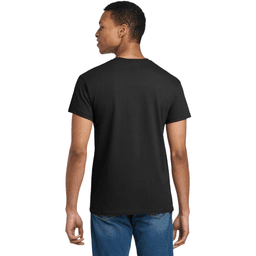 Back (Model)