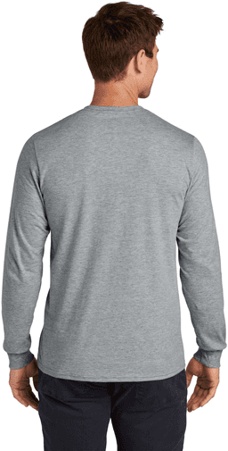 Back (Model)