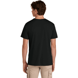 Back (Model)