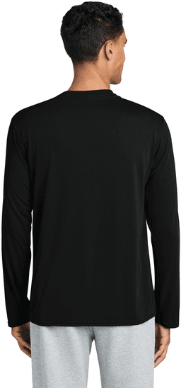 Back (Model)