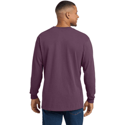 Back (Model)