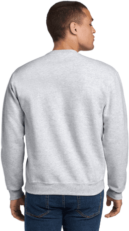 Back (Model)