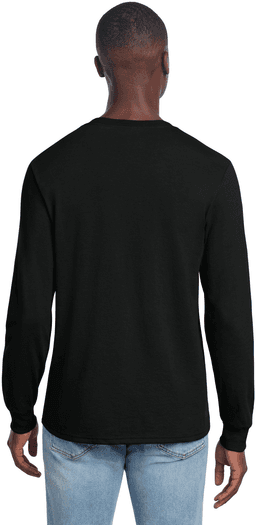 Back (Model)