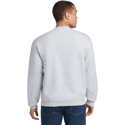 Back (Model)