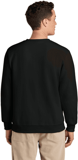 Back (Model)