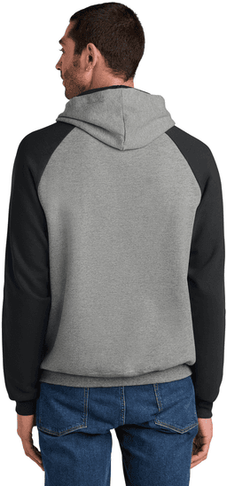 Back (Model)