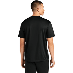 Back (Model)