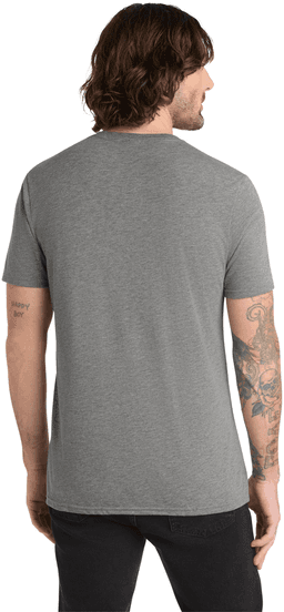 Back (Model)