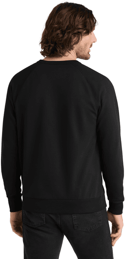Back (Model)