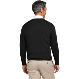 Back (Model)