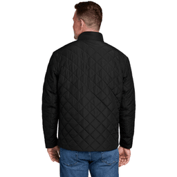 Back (Model)