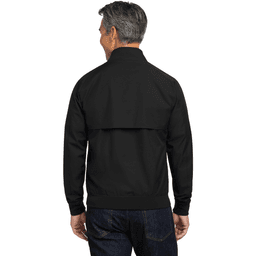Back (Model)