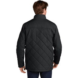 Back (Model)