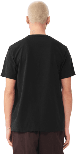Back (Model)