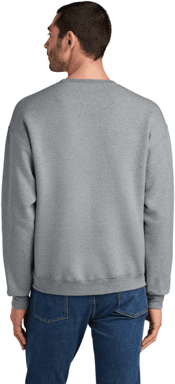 Back (Model)