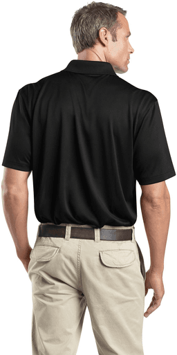 Back (Model)