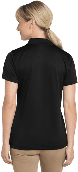 Back (Model)