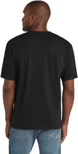 Back (Model)
