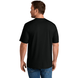 Back (Model)