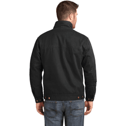Back (Model)