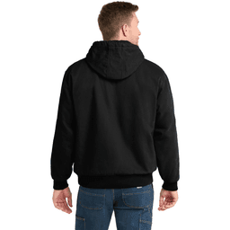 Back (Model)
