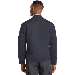 Back (Model)