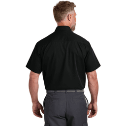 Back (Model)