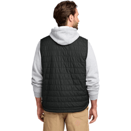 Back (Model)