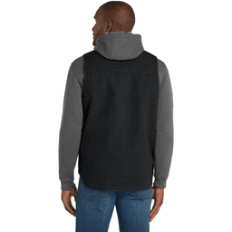 Back (Model)