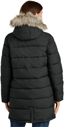 Back (Model)