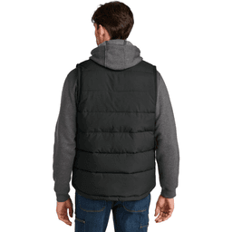 Back (Model)