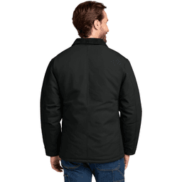 Back (Model)
