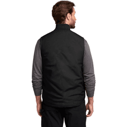 Back (Model)