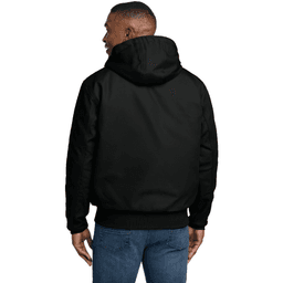Back (Model)