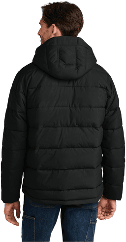 Back (Model)