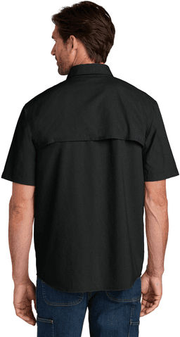 Back (Model)