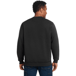 Back (Model)