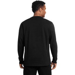 Back (Model)
