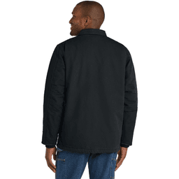 Back (Model)