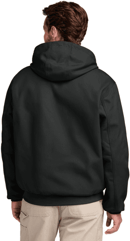 Back (Model)