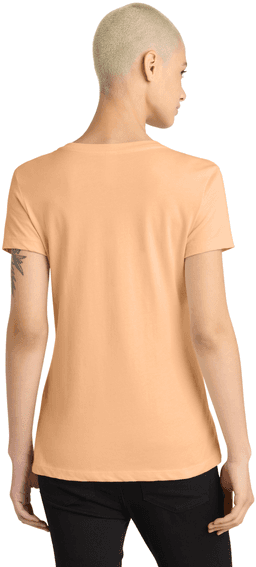 Back (Model)