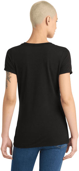 Back (Model)