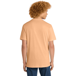 Back (Model)