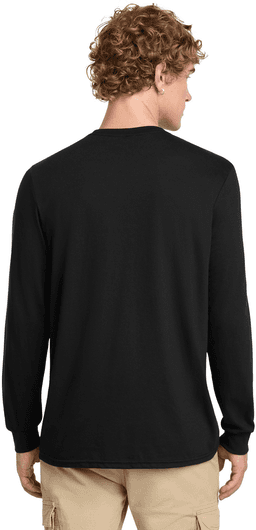 Back (Model)